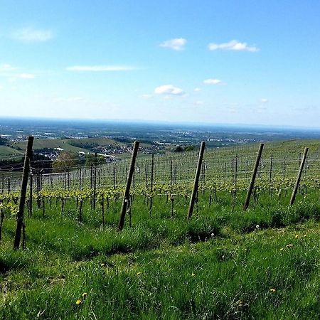 Ferienhof Vordere Alm Оберкирх Экстерьер фото