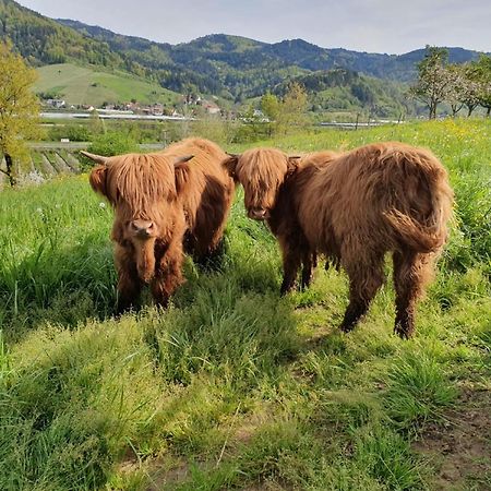 Ferienhof Vordere Alm Оберкирх Экстерьер фото